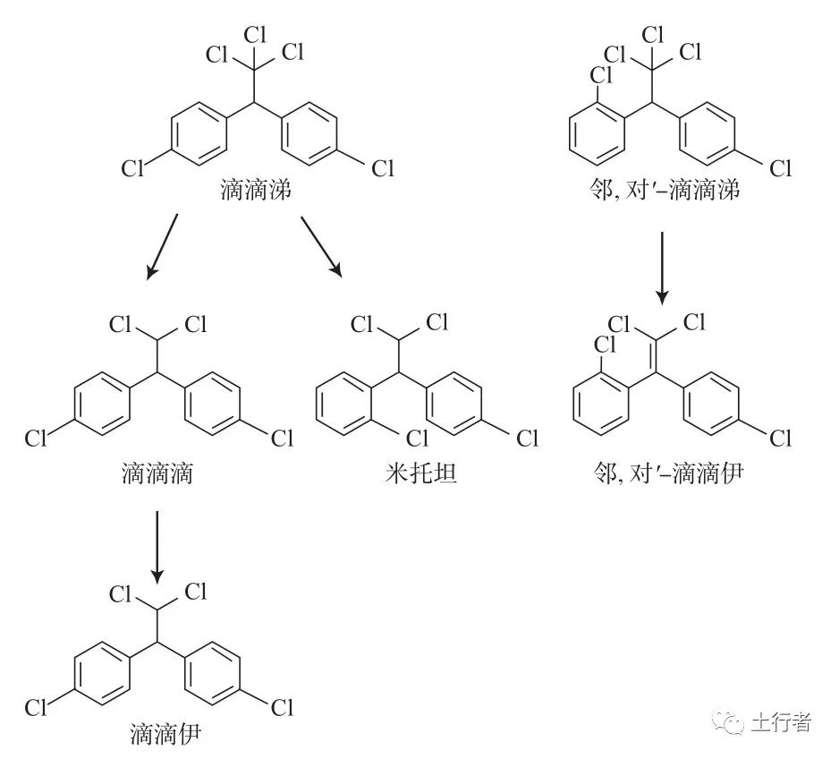 1662341660952071.jpg 2.jpg