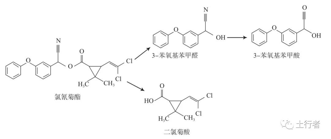 1662341760917804.jpg 7.jpg